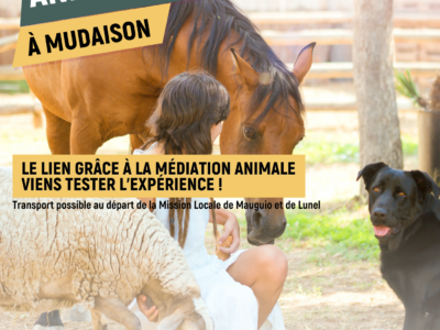 Animals and Co : la MLJPCH propose une immersion en médiation animale pour les jeunes